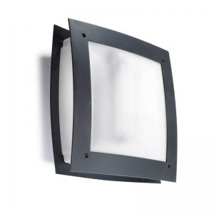 Darwin Dekoratif Aplik