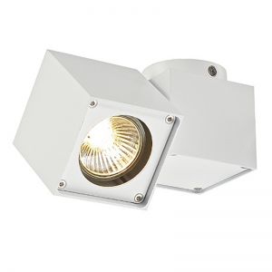 Altra Dice Hareketli Tavan Armatürü