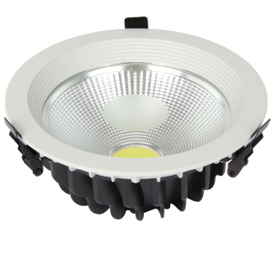 20W Led Downlight 2700K