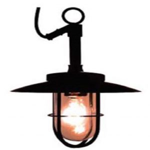 SİYAH ŞAPKALI SARKIT